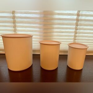 Vintage Tupperware containers-set of 3 nesting